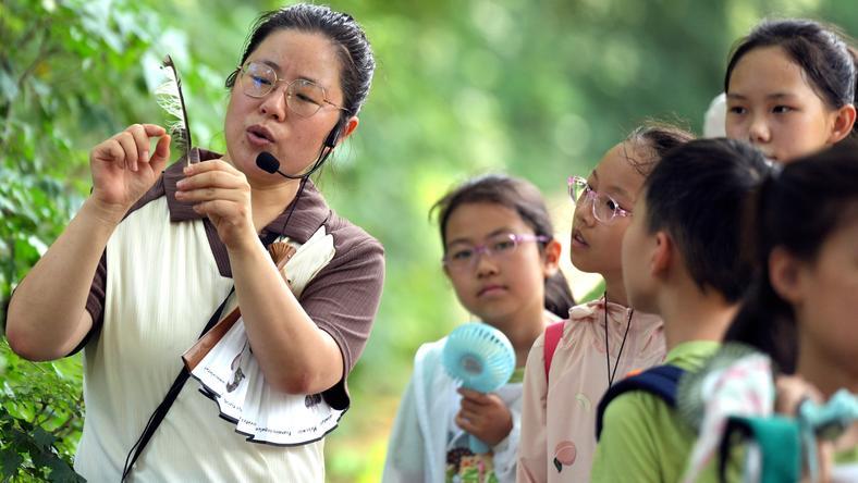 暑期研学也割不动家长了?